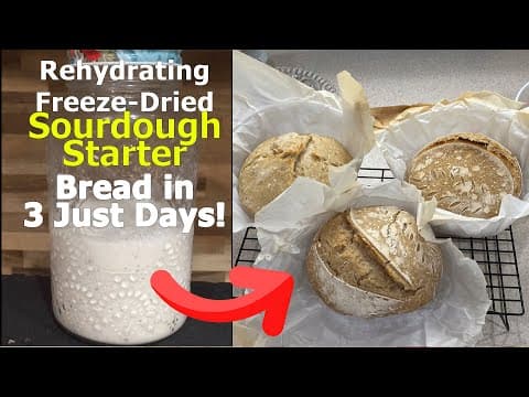 Bread in Just 3 Days! Rehydrating Our Freeze Dried Sourdough Starter and Having a Baby - Baker Spotlight